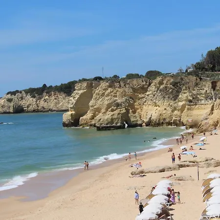 5j Sao Gabriel - Casas & Papeis アルマカオ・デ・ペラ